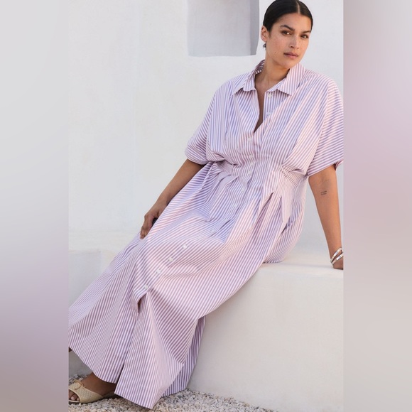 Anthropologie The Tobie Button-Front Pleated Shirt Dress - Picture 3 of 14